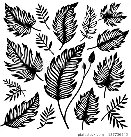 Collection of Hand-Drawn Black and White Leaves for Natural Botanical Illustration 127736343