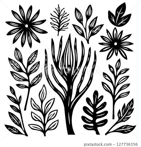 Black and white botanical illustrations featuring diverse floral and leaf designs 127736356
