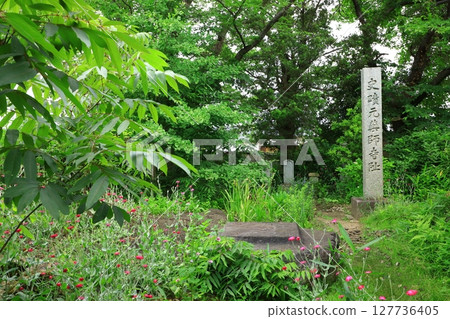 本藥師寺遺址 127736405