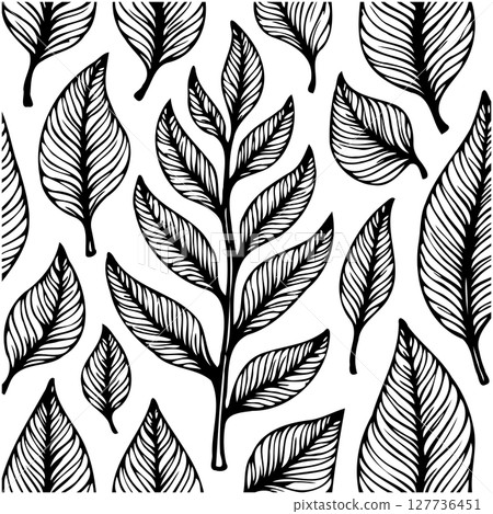 Hand-Drawn Leaves Pattern with Black and White Illustration for Natural Designs 127736451