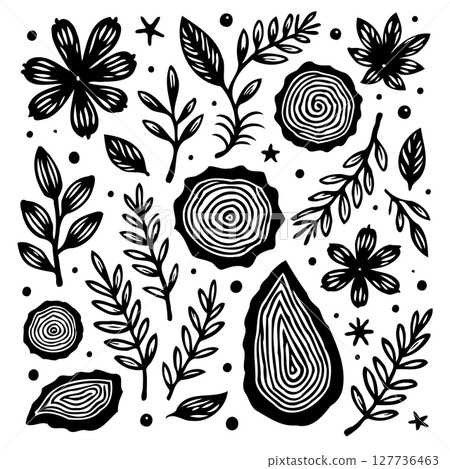 Botanical doodle collection with flowers, leaves and wood slices in black and white Botanical doodle collection with flowers, leaves and wood slices in black and white 127736463