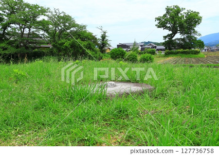 本藥師寺史蹟：西塔中心石 127736758