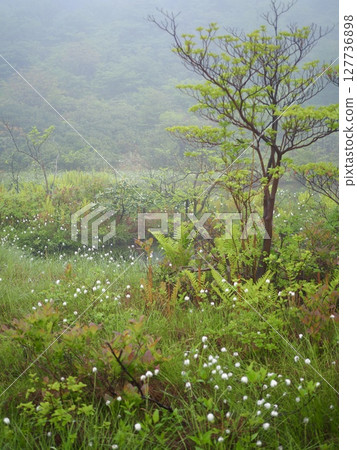 池塘用於武器清除 池塘用於武器清除 127736898
