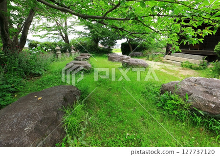 本藥師寺遺址、本堂基石 127737120