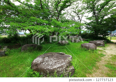 本藥師寺遺址、本堂基石 127737123