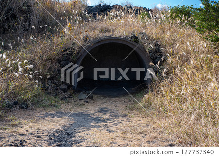 The shelter at Mt. Mihara 127737340