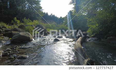 "A Signpost of Light - Together with the River" "A Signpost of Light - Together with the River" 127737427
