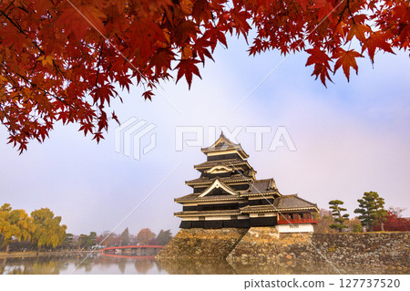 Japanese landscape: Matsumoto Castle in autumn 127737520