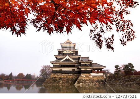 Japanese landscape: Matsumoto Castle in autumn 127737521