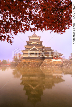 Japanese landscape: Matsumoto Castle shrouded in morning mist Japanese landscape: Matsumoto Castle shrouded in morning mist 127737625