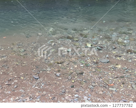 The stones at the bottom of the river and the ripples of the water visible through the shallows 127737782