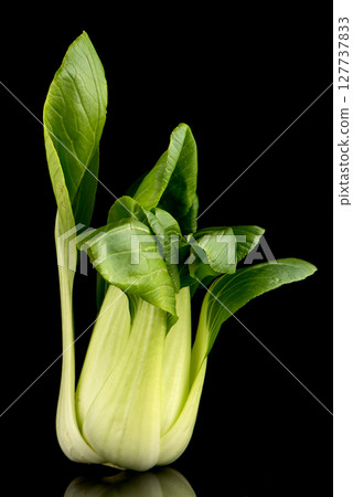 Pak choi on black 127737833