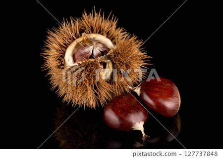 Chestnuts on a black reflective background Chestnuts on a black reflective background 127737848