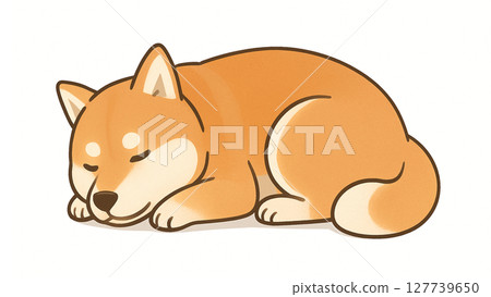 柴犬在白色背景上小睡的現實例證 柴犬在白色背景上小睡的現實例證 127739650