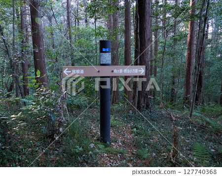 神奈川縣新春市民森林識別集 D-5（2025年） 127740368