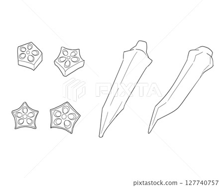 秋葵線描 127740757