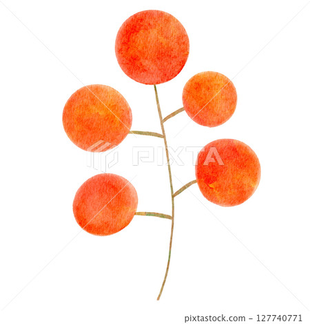 Red berries, nuts, watercolor illustration 127740771