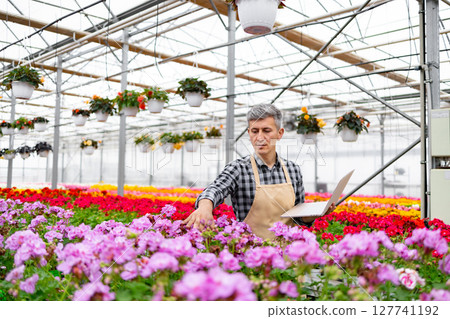 A male gardener checks plants in a greenhouse while holding a laptop to monitor the growth of flowers. A male gardener checks plants in a greenhouse while holding a laptop to monitor the growth of flowers. 127741192