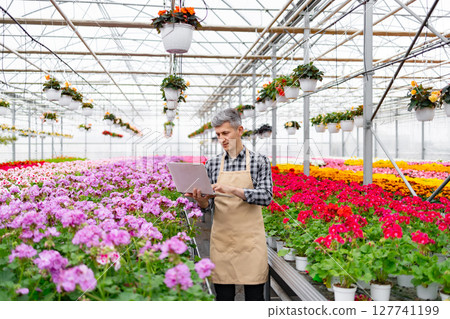 A man in a greenhouse inspects flowers, using a laptop to manage the flora in this colorful environment. Hanging baskets and various blooms create a vibrant scene. 127741199