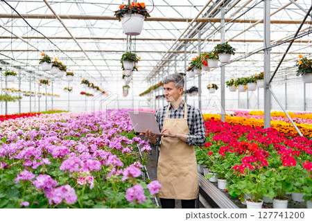 A gardener in a greenhouse, using a laptop to manage vibrant flowers and plants in pots and hanging baskets. 127741200