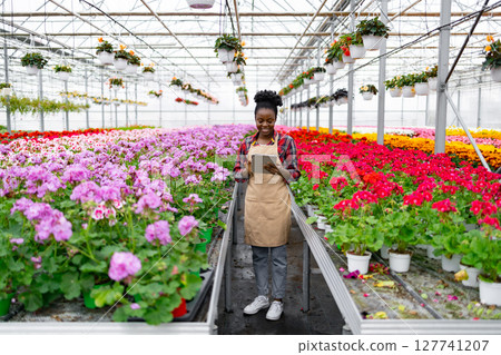 A smiling African woman tending to flowers in a greenhouse, using a tablet to monitor her plants. 127741207
