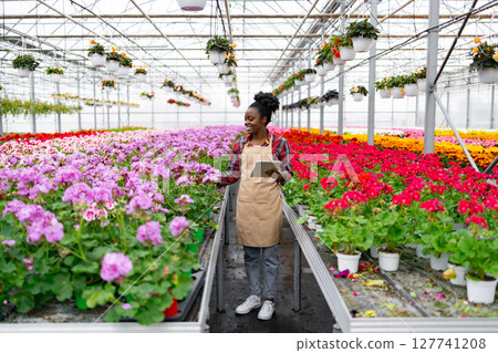 An African-American woman in a greenhouse, surrounded by vibrant flowers, uses a tablet to monitor plants. An African-American woman in a greenhouse, surrounded by vibrant flowers, uses a tablet to monitor plants. 127741208