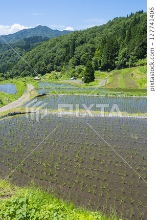 鳥取縣若狹町若狹山梯田插秧後的風景 127741406