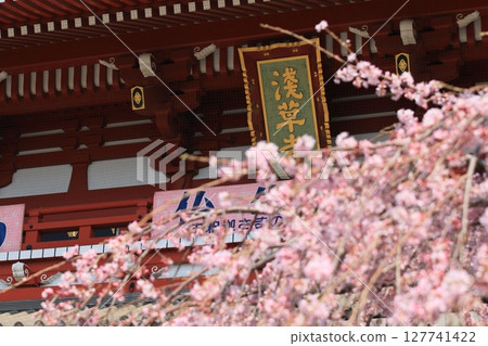 盛開的櫻花和淺草寺寶藏門 - 東京旅遊勝地 盛開的櫻花和淺草寺寶藏門 - 東京旅遊勝地 127741422