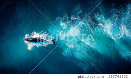 鯨魚在碧綠的海水中暢遊：空中視角 127741562