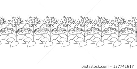 Stripe pattern with black and white line art canary islands flowers Tenerife nightshade. Floral horizontal seamless border 127741617