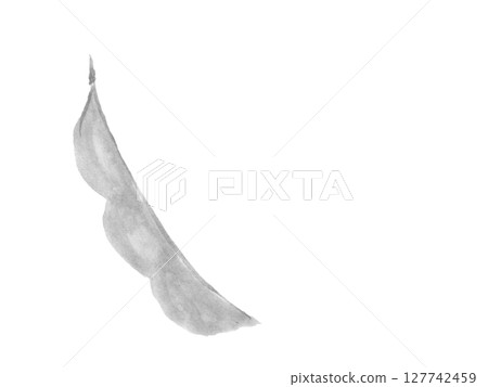 Edamame - Hand-drawn food monochrome illustration 127742459