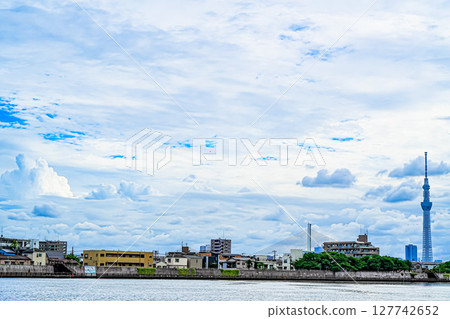 A view of the Skytree from the Nakagawa River in Katsushika Okuto 127742652