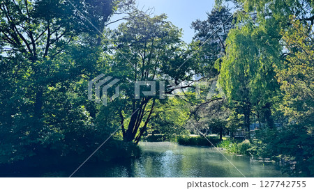 The beautiful views in Hokkaido The beautiful views in Hokkaido 127742755