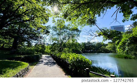 The beautiful views in Hokkaido 127742765