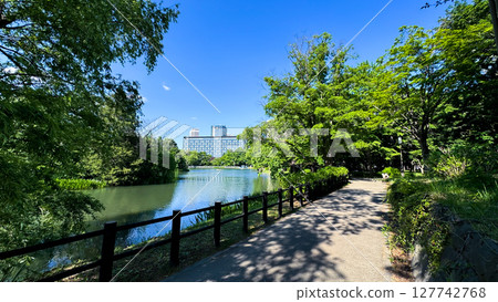 The beautiful views in Hokkaido The beautiful views in Hokkaido 127742768