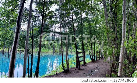 The beautiful views in Hokkaido The beautiful views in Hokkaido 127742900