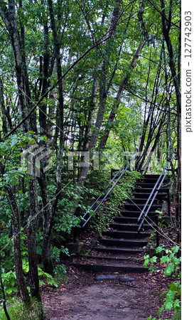 The beautiful views in Hokkaido 127742903