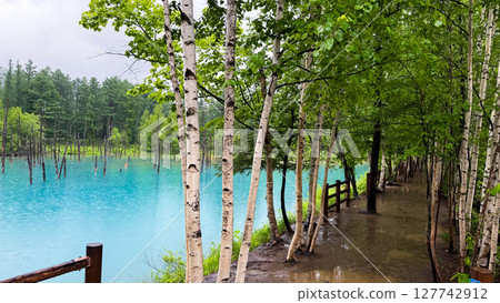 The beautiful views in Hokkaido The beautiful views in Hokkaido 127742912