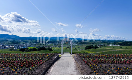 The beautiful views in Hokkaido 127742915