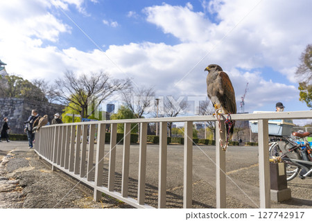 Osaka, Japan - Dec 30, 2022 : The eagle at Osaka castle in Osaka, Japan on Dec 30, 2022. 127742917