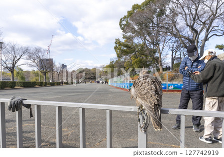 Osaka, Japan - Dec 30, 2022 : The eagle at Osaka castle in Osaka, Japan on Dec 30, 2022. Osaka, Japan - Dec 30, 2022 : The eagle at Osaka castle in Osaka, Japan on Dec 30, 2022. 127742919