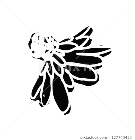 Hand drawn black ink abstract daisy flower silhouette isolated on white background 127743433