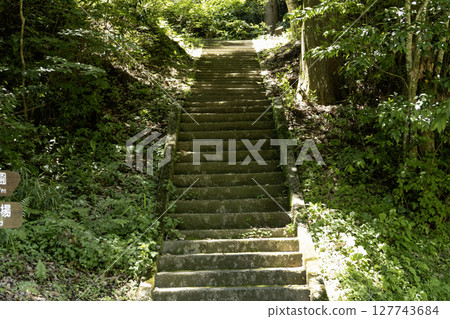 A staircase in a natural park: A green promenade bathed in sunlight 127743684