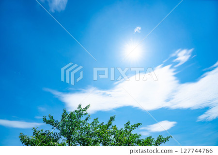 Blue sky, clouds, sun and trees 127744766