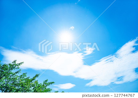 藍天、白雲、陽光和樹木 127744767