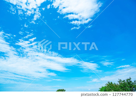 藍天,白雲和樹林 藍天,白雲和樹林 127744770