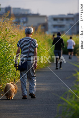 早晨例行活動,跑步、散步、遛狗 早晨例行活動,跑步、散步、遛狗 127744806
