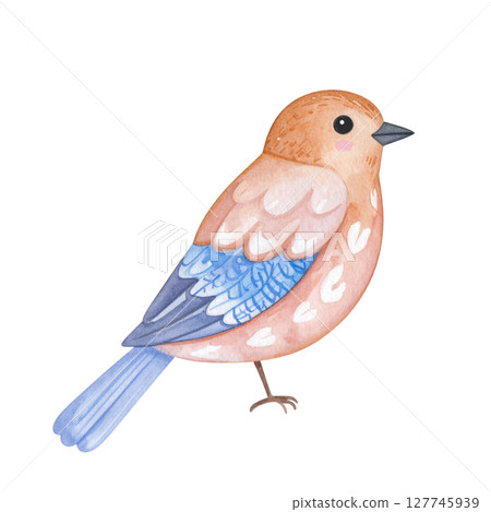 Blue tit bird on a tree branch, a beautiful wildlife animal with blue and white feathers 127745939