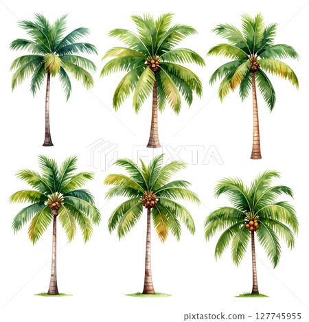 A tropical set of palm trees with green leaves against a summer sky, perfect for a beach vacation or island landscape A tropical set of palm trees with green leaves against a summer sky, perfect for a beach vacation or island landscape 127745955