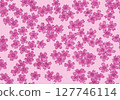 Seamless background material of moss phlox 127746114